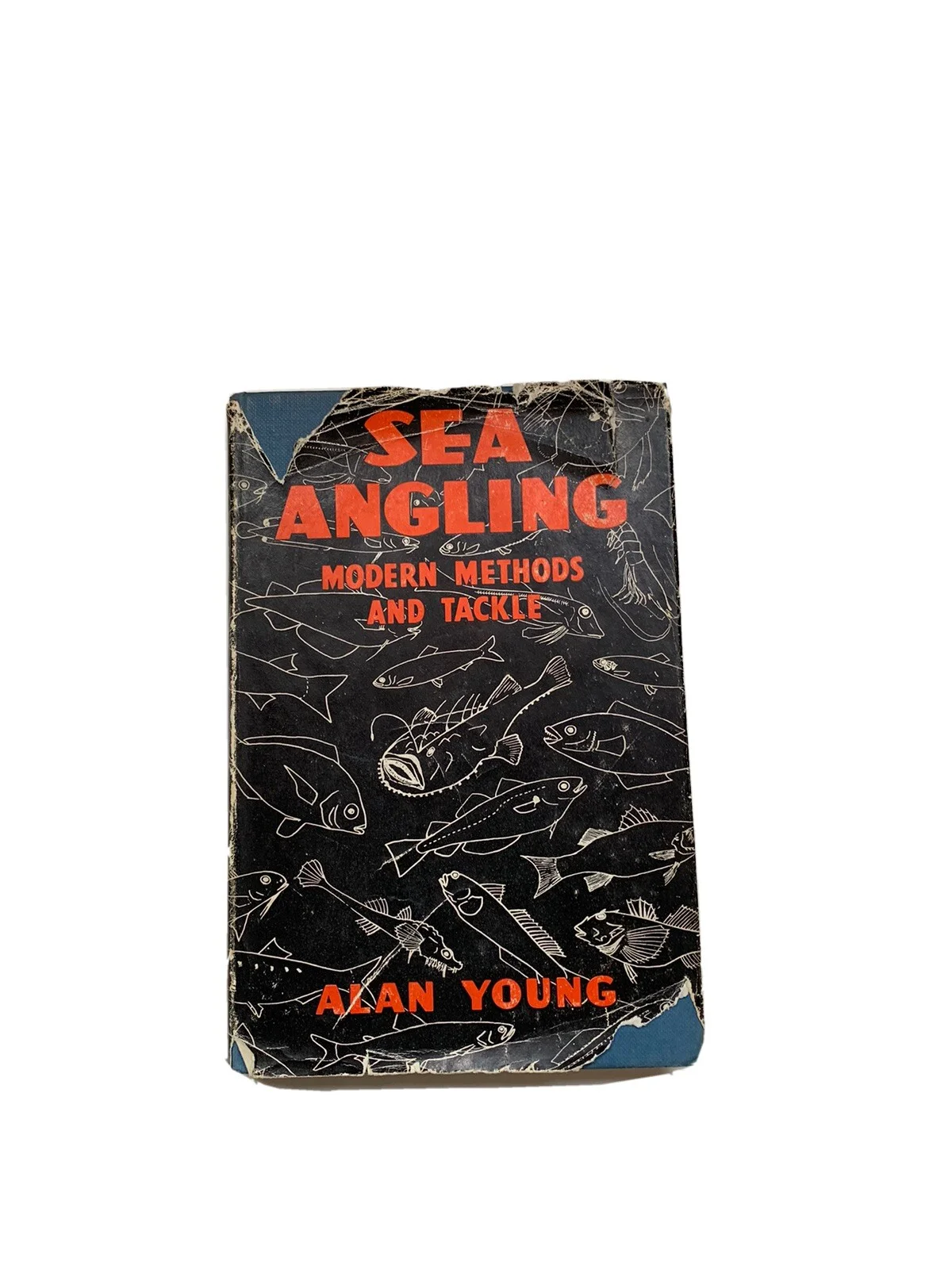 Product photo