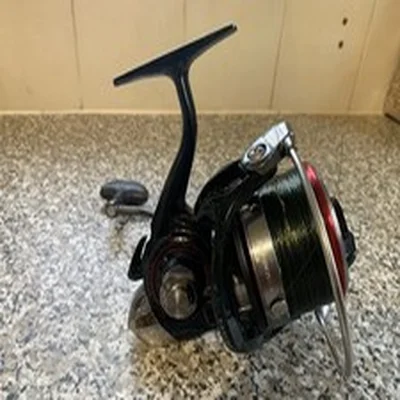 Daiwa Castizm 25 QDA Fishing Reel