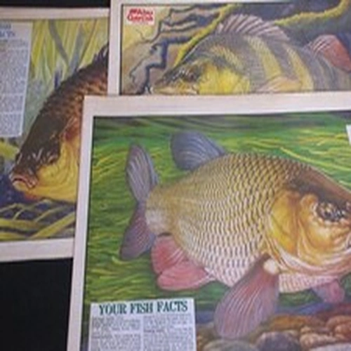 VINTAGE ANGLING TIMES KEITH LINSELL PRINT 1991 PIKE Fishing poster