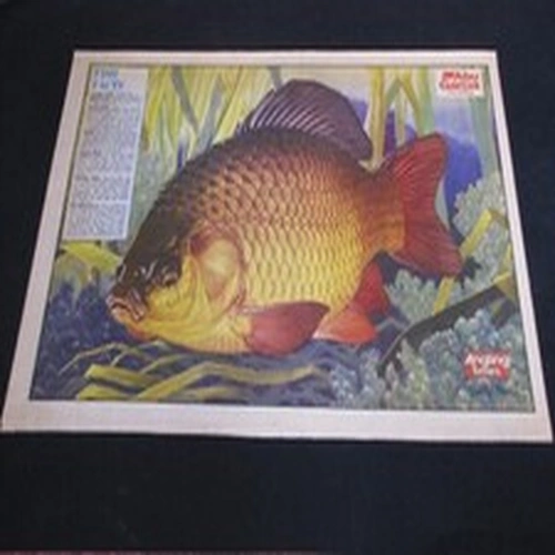 VINTAGE ANGLING TIMES KEITH LINSELL PRINT 1991 CRUCIAN CARP Fishing poster