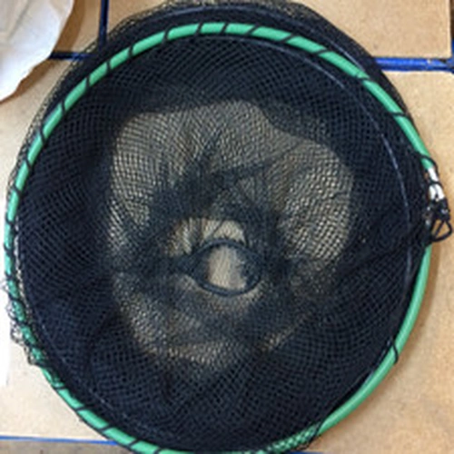 3m Freshwater Fishing Keep Net (used )