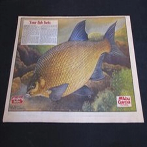 VINTAGE ANGLING TIMES KEITH LINSELL PRINT 1991 BREAM Fishing Magazine poster