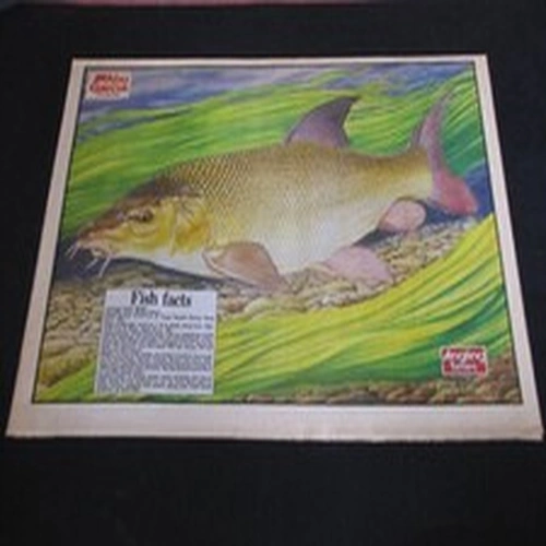 VINTAGE ANGLING TIMES KEITH LINSELL PRINT 1991 BARBEL Fishing Magazine poster