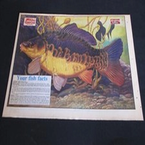 VINTAGE ANGLING TIMES KEITH LINSELL PRINT 1991 MIRROR CARP Fishing Mag poster
