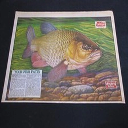 VINTAGE ANGLING TIMES KEITH LINSELL PRINT 1991 CHUB Fishing Magazine poster