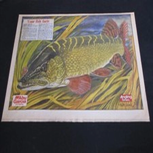 VINTAGE ANGLING TIMES KEITH LINSELL PRINT 1991 PIKE Fishing Magazine poster
