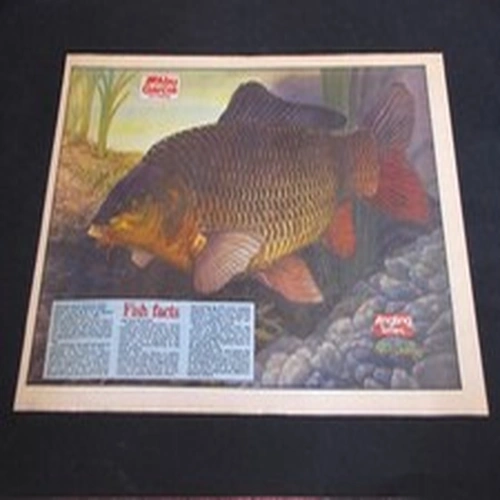 VINTAGE ANGLING TIMES KEITH LINSELL PRINT 1991 COMMON CARP Fishing Mag poster