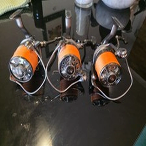 daiwa basia reels