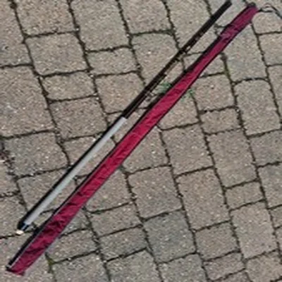 triana 4 metre pool position carp whip