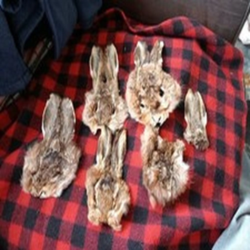 Fly Tying Job Lot Hare's Masks x 5