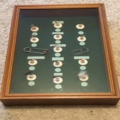 Vintage Collection Various Fishing Flies Display Case