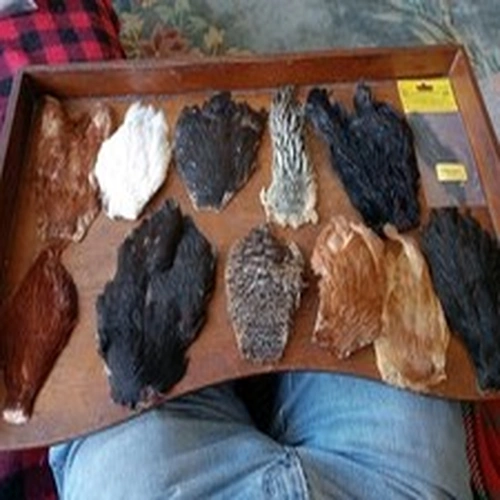 Job Lot Natural Indian Hen Capes x 12