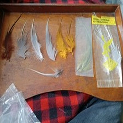Fly Tying Job Lot Vintage Grey Heron Feathers. More added. 