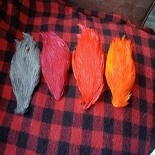 Fly Tying Job Lot 4 Chinese Dyed Cock Capes. Lightly Used.