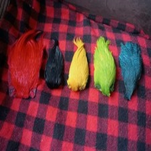 Fly Tying Job Lot Dyed Cock Capes x 5. Light Use Only