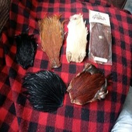 Fly Tying Job Lot Indian Capes x 6