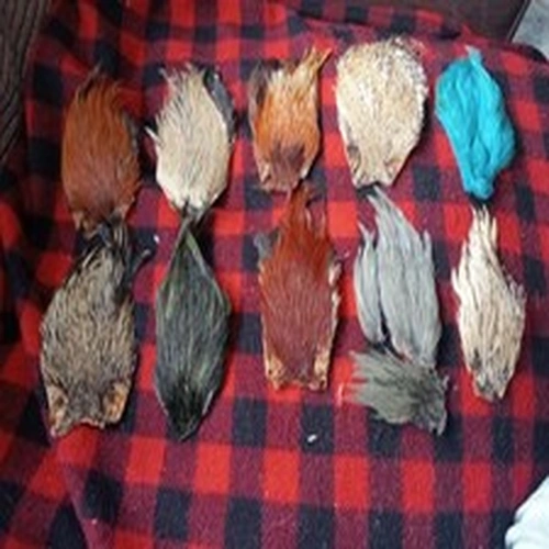 Fly Tying Job Lot Indian Capes x 10
