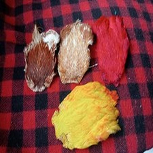 Fly Tying Job Lot Indian Hen Capes x 4