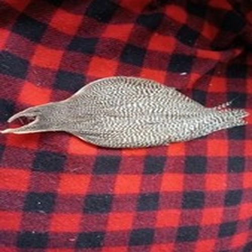 Fly Tying Metz Grizzle Cock Neck Cape