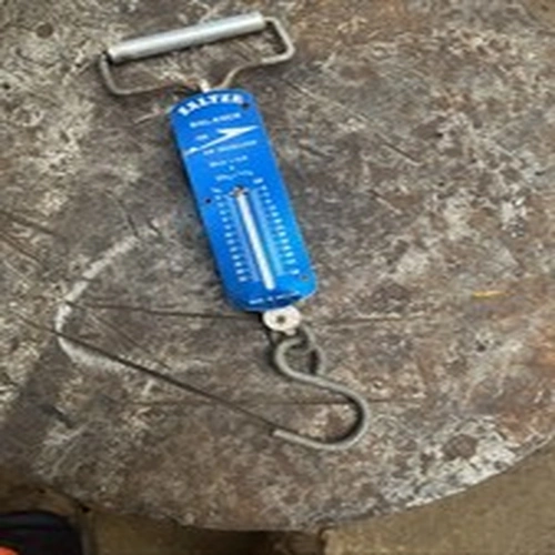 Salter Balance Fishing Scales