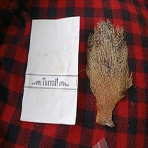 Fly Tying Turral Cree Cock Cape.