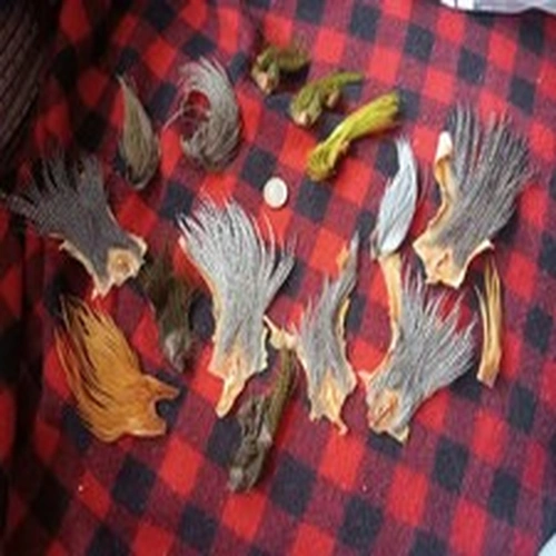 Job Lot Fly Tying Genetic Cape Tops x 15. Ideal For Small Dry Flys