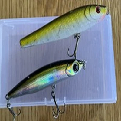 2x FRESHWATER OR SEA FISHING LURES RAINBOW COLOURED 3.5 Inches