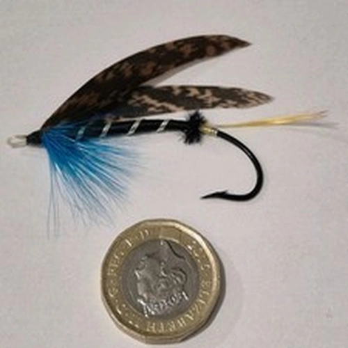 A VINTAGE GUT EYED SALMON FLY IN GOOD CONDITION APROX SIZE 3/0