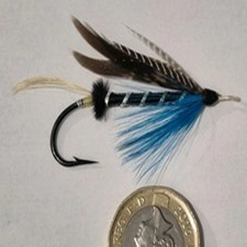 A VINTAGE GUT EYED SALMON FLY IN GOOD CONDITION APROX SIZE 3/0