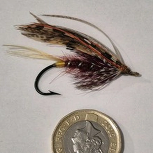 A STUNNING VINTAGE GUT EYED SALMON FLY IN GOOD CONDITION APROX SIZE 2