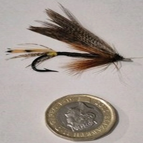 A STUNNING VINTAGE GUT EYED SALMON FLY IN GOOD CONDITION APROX SIZE 2