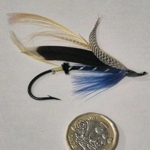 A STUNNING VINTAGE STEEL EYED SALMON FLY BEAUTIFUL COLLECTORS CONDITION 6/0