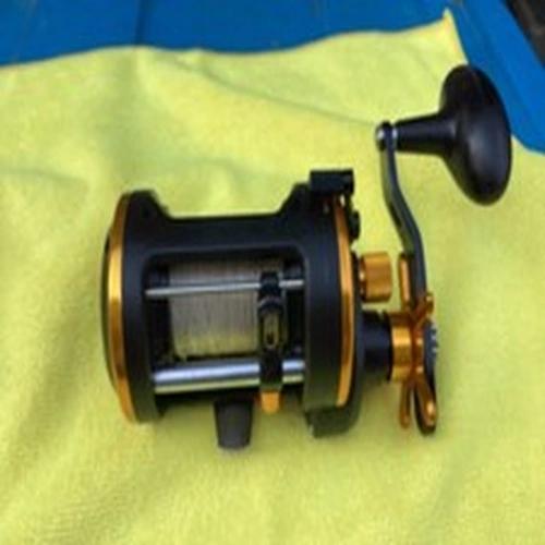 Penn Squall II 20LWLH Reel  SQLII20LWLH