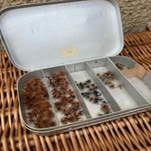 Vintage Fly Tin (Believed to be French Vintage) and Many Dry Flies (Ref2)