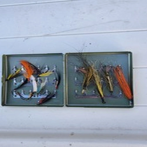 Salmon Fly Fishing Flies In Small Green Metal Tin 