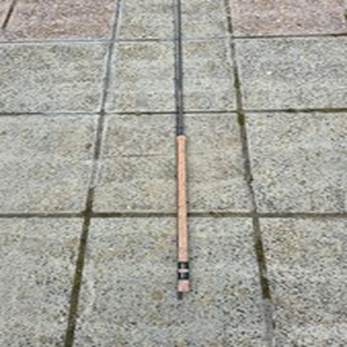 Abu Carbon Ledgerlite Fishing Rod