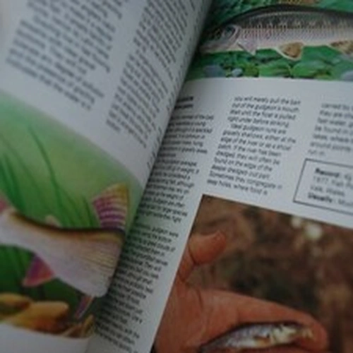 'Guidelines' Freshwater Fishing, Brian Ward, 1980 First Ed. Vintage Angling.