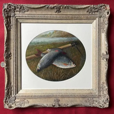 James Coleman Antique 19thC Oil Painting 3 Rudd Roach Fish Angling Fishing Catch