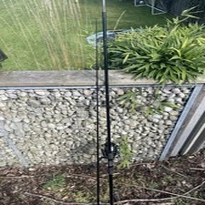 Carp Fishing Rod and Reel