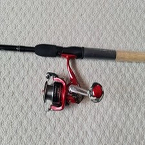 Shimano Reel and Rod deal