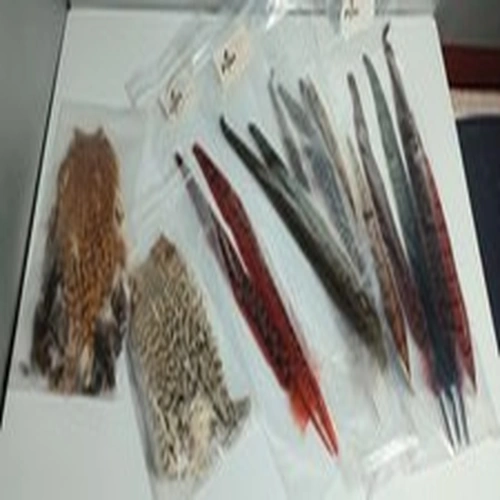 Fly Tying Materials Job Lot Mixed Bundle Fishing #B