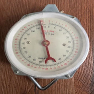 VINTAGE ANGLING SPRING BALANCE SCALES - 50KG / 110LB