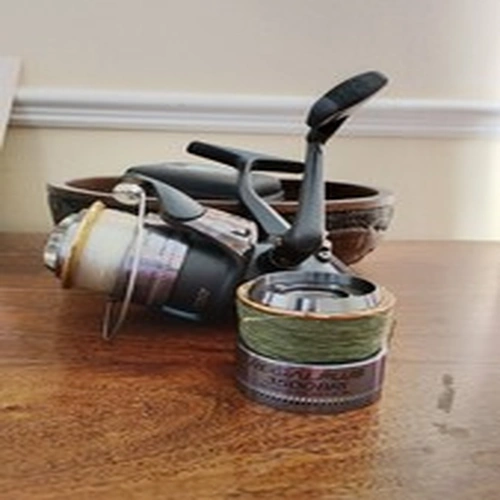 Diawa Regal Plus 3500BRI