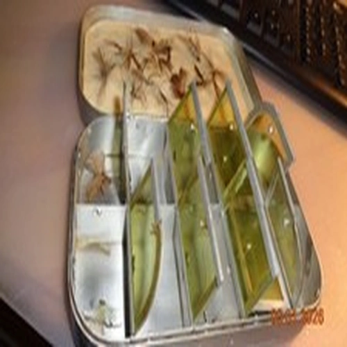 WHEATLEY 10 COMPARTMENT DRY FLY BOX WITH CHINELLE LID 6" X 31/2"X 1 1/4"