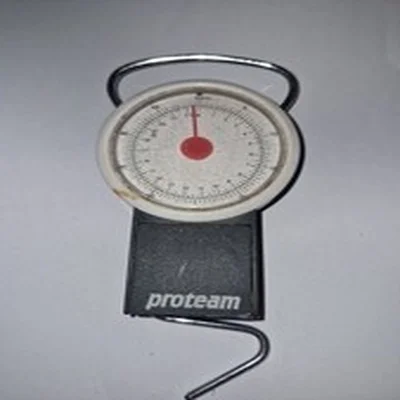 Proteam Fishing Scales