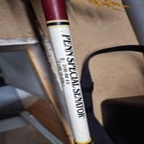 penn special senator rod 3190 RW 6'6 50 - 80Ib