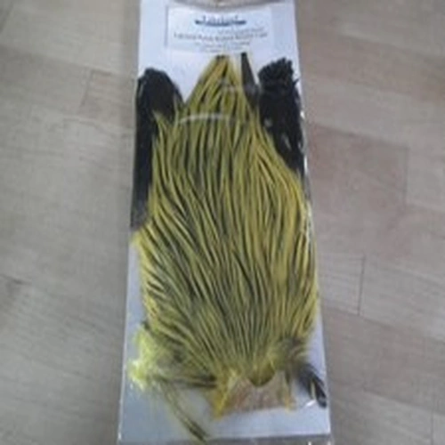 lakeland polish brahma rooster cape yellow