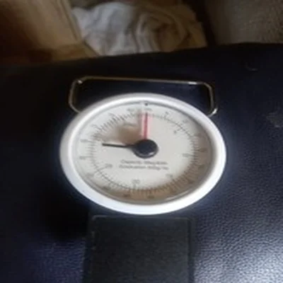 fish weighing scales