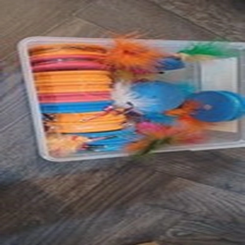 Fishing