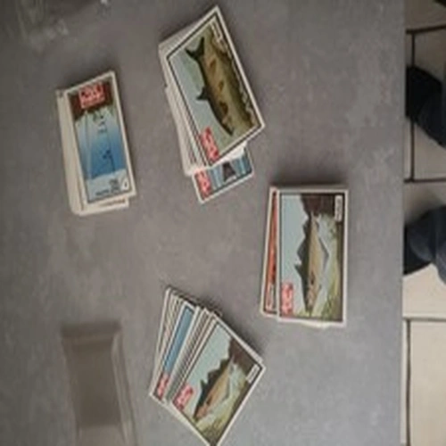 4 complete Packs of Angling Times Fish Cards 1980's excellent condition fishing
